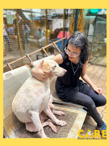 Charlie's Animal Rescue Centre - Community Outreach & Education Our Wonderful Volunteers & Visitors photo 16