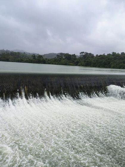 Water gushing over a check dam near the Sharavathi Valley, showcasing the sheer volume of water during the peak monsoon season.