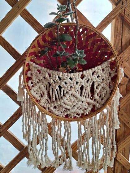Another view of the hanging plant basket, showing how it looks against a wooden trellis. It’s a great way to add greenery to a balcony or patio.