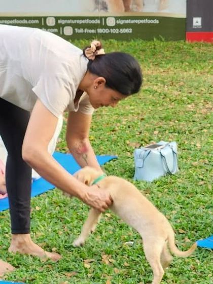 It's hard to maintain yogic concentration when there's a cute puppy trying to play. Leading this Pawga session was a joyful distraction for a wonderful cause.