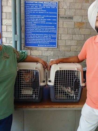 Journeys to Canada photo 23