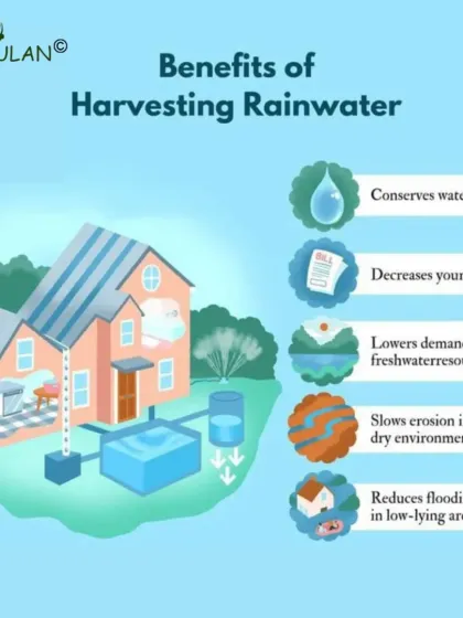 Eco Santulan - Water Management Solutions Rainwater Harvesting: The Neerain Filter Solution photo 4