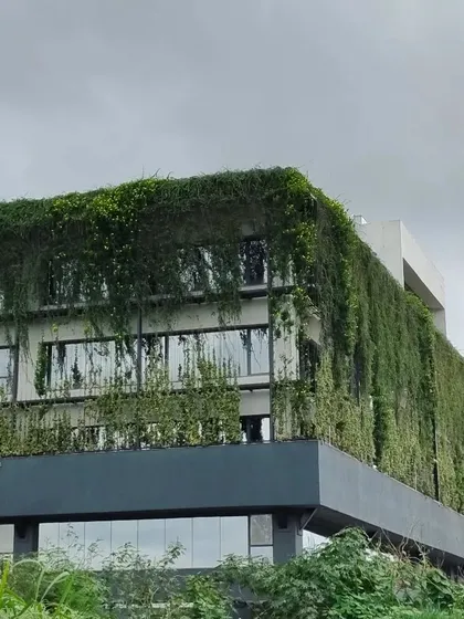 This is Tech 37, a project where I let the wild take over. The building's facade is designed as a canvas for climbing plants, creating a living, breathing skin that evolves with the seasons and showcases a truly ecological approach to commercial architecture.