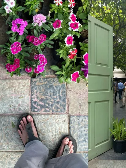 A pale green door stands ajar, inviting a peek into a quiet courtyard space.