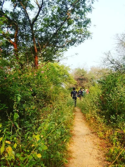A narrow trail through dense forest. This is where you feel completely immersed in nature, far from any signs of civilization.