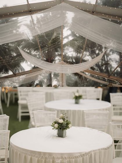 A detail shot of the minimalist tablescape and the draped ceiling of the transparent tent, with palm trees visible outside, blending the elegant decor with the natural surroundings.