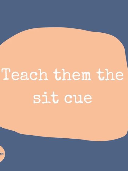 The first step to stopping jumping is teaching a solid 'sit' cue. This gives your dog an alternative, polite behavior to offer when they're excited to greet someone.