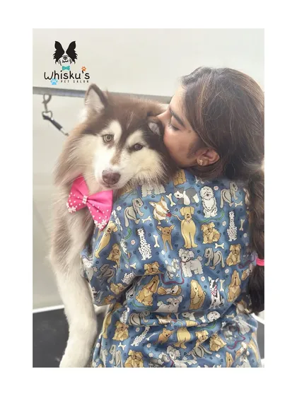 This is why I do what I do. Every grooming session is built on a foundation of love and trust. This beautiful Siberian Husky is a perfect example of the deep connection we can build with these babies.