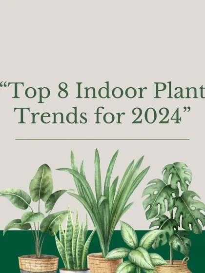 I always stay updated on the latest trends to bring you the best in plant styling. This guide introduces some of the most popular indoor plant categories for the year.