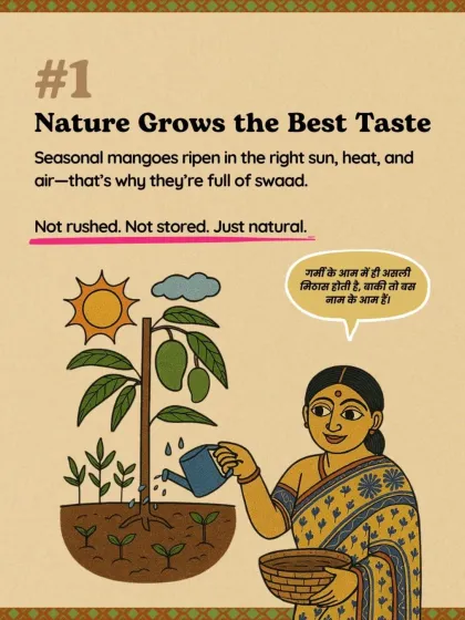 Reason #1: Nature grows the best taste. Seasonal mangoes ripen in the right sun, heat, and air, which is why they are full of natural swaad. They are not rushed or stored, just pure and natural.