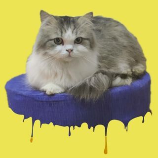 PURRed @Charlie’s