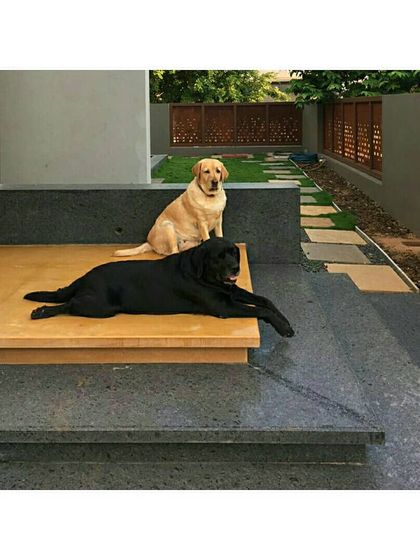 Sandesh Architects - Residential Architecture & Design Homes Integrated with Nature photo 14