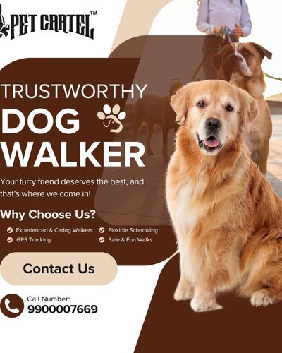 Pet Transportation & Dog Walking