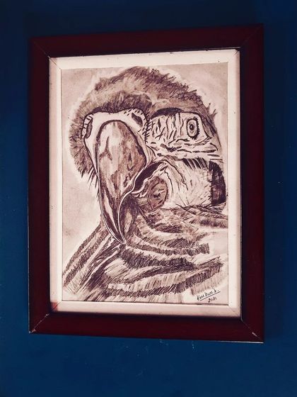 A detailed sketch of a parrot's head, using fine lines to capture its texture and expression.