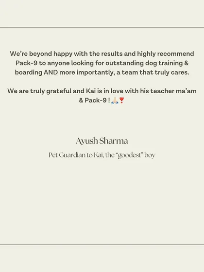 The conclusion of Kai's testimonial, recommending our services to anyone looking for a team that truly cares.
