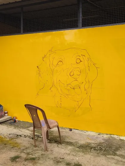 The beginning of a new mural at the sanctuary. The outline of Kavya, the dog who started it all, is sketched onto a freshly painted yellow wall.