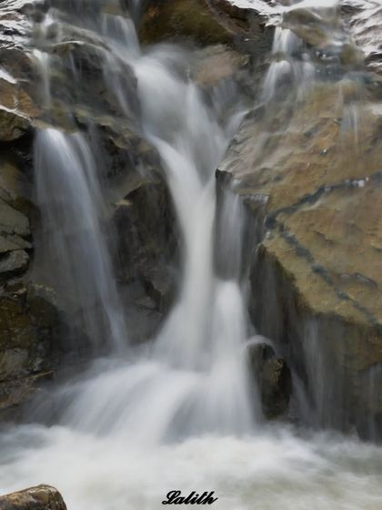 Lalith - Wildlife & Nature Photography My Journey into the Wild photo 8