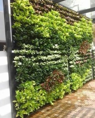 Vertical Garden Setup - Landscape Design & Execution Balcony & Patio Solutions photo 5