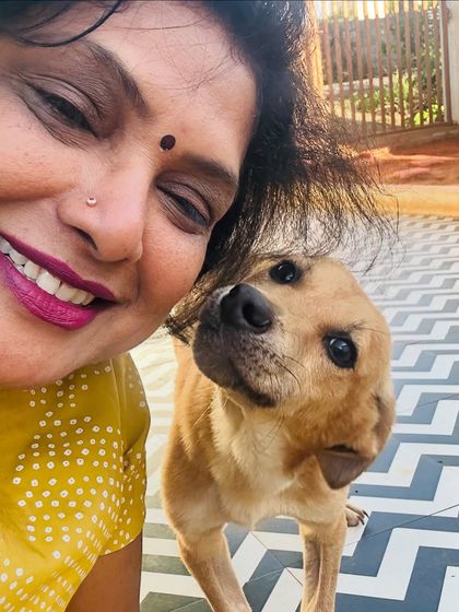 Star Pups - Pet Grooming Our Furry Friends & Family photo 36