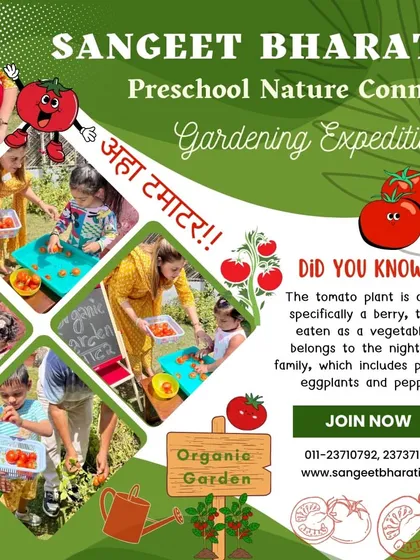 Our Nature Connect program brings learning to life in our organic garden. Children experience the joy of planting, nurturing, and harvesting their own food, like these juicy tomatoes. This hands-on activity teaches them about sustainability and where our food comes from.