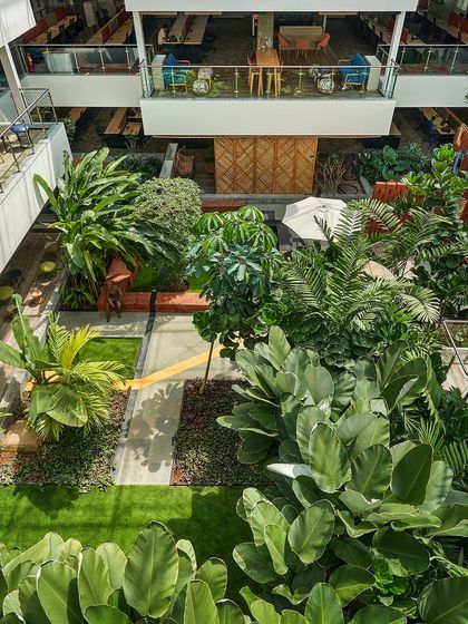 An aerial view of the multi-level courtyard at SAP Labs, showcasing a dense, jungle-like environment in the heart of the office building. The design provides employees with an immersive natural escape from their desks.