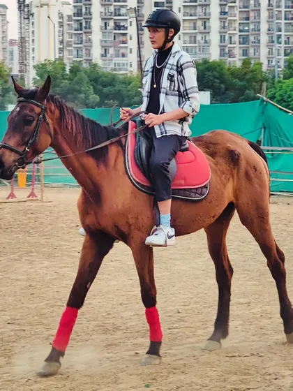 A young rider maintains excellent posture while riding in the arena. Our training emphasizes correct form for effective and safe riding.