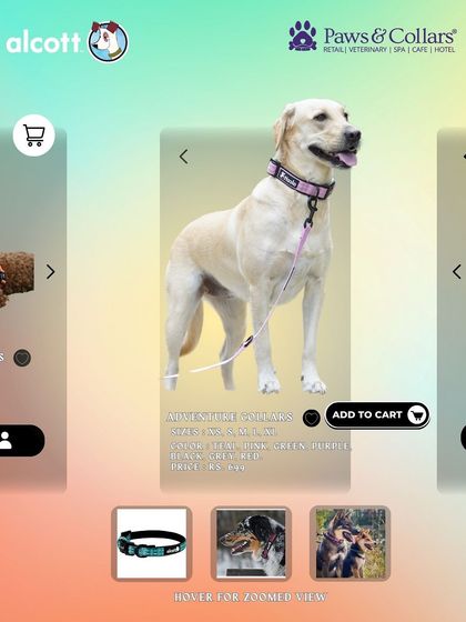 PawsnCollars - Pet Supplies Adventure & Walking Gear photo 9