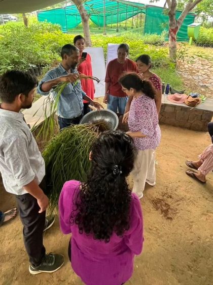 Our expert demonstrates how to prepare grass slips from a large clump of native grass during our hands-on nursery workshop.