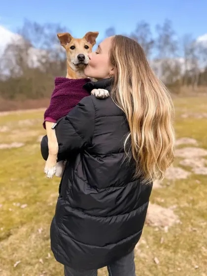 This is BoPeep, a little indie dog I helped, getting a welcome-home kiss in Belgium. From the streets of India to a loving home in Europe, her story is one of incredible transformation.