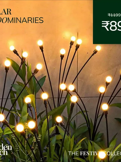 Fairy tales can come true in your own garden. These 'Solar Bloominaries' are an easy way to transform your space into a serene oasis every single night.