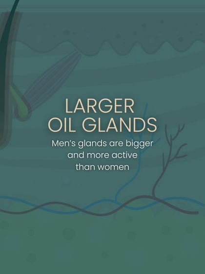 Men's oil glands are not only more active, but they are also larger than women's. This anatomical difference contributes to higher sebum production and a greater likelihood of developing acne.