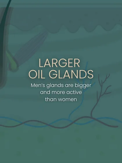 Men's oil glands are not only more active, but they are also larger than women's. This anatomical difference contributes to higher sebum production and a greater likelihood of developing acne.