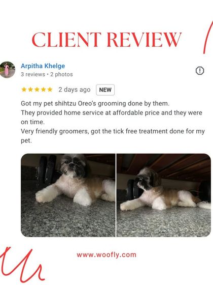 Woofly - At-Home Pet Grooming What Pet Parents Are Saying photo 16