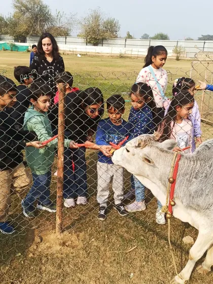 It's not just horses. Kids love meeting our other farm animals, like this calf being fed by a group of curious children.