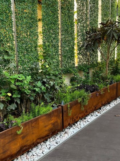 A long view of the Corten steel planters, which will develop a beautiful patina over time. The vertical green wall behind is designed for climbing plants to eventually take over, creating a living privacy screen.