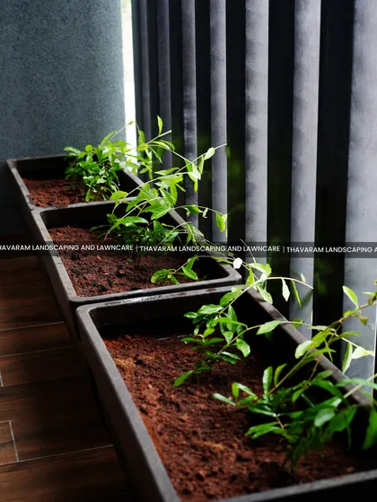 Simple, modern rectangular planters are perfect for a balcony or narrow space, bringing a line of green to an urban environment.