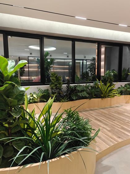 Another shot from the Hyderabad office installation. The view through the glass shows how the greenery is integrated throughout the space, creating a seamless connection to nature from every angle.