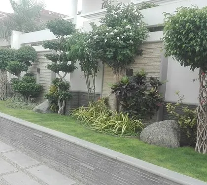A close-up of our detailed planting work, with sculpted trees, rocks, and a variety of groundcover plants creating a complex and beautiful border.