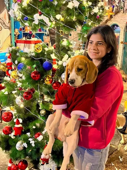 A guest holds her beagle, both dressed in red, in front of our beautifully decorated Christmas tree.