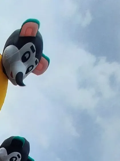 A close up of the character detailing on one of my inflatables. I can create custom themes for your bouncy castle, and getting these details right is an important part of my manufacturing process.