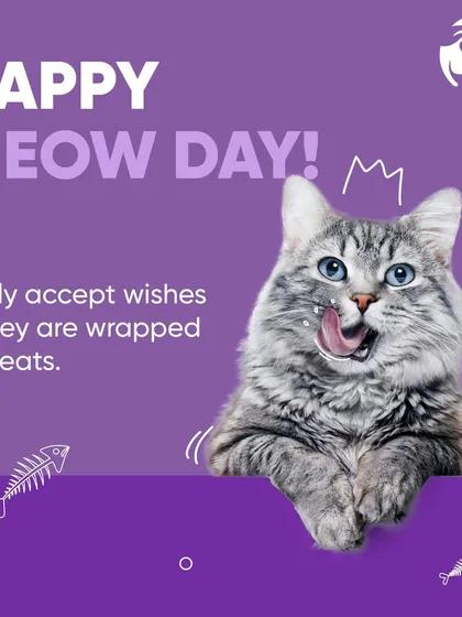 Happy Meow Day. This kitty knows that the best way to celebrate is with delicious treats. I have a great selection for my feline friends, including favorites from Whiskas and Bellota.