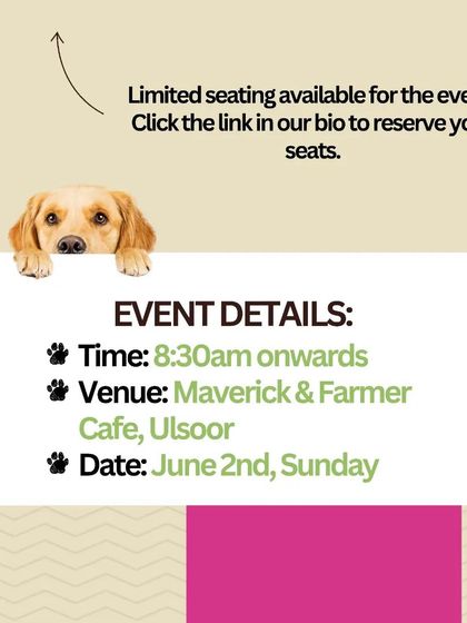 Charlie's Animal Rescue Centre - Community Outreach & Education Community Fundraising Events photo 40