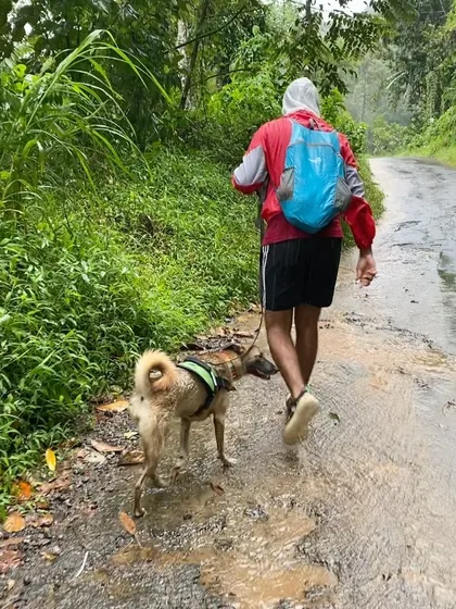 Walks are for all weather, including a rainy trek through lush green paths.