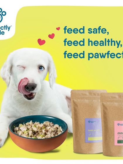 The result of our promise: a happy, healthy pet licking their lips after a delicious and safe meal.