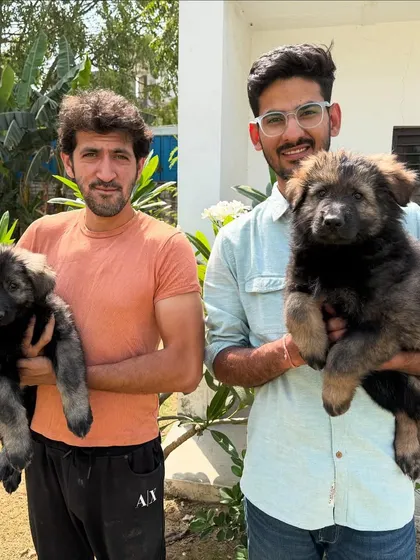 The goal of our breeding program is to place exceptional dogs in capable hands. Here are two pups from our Wolf Pack litter, Rogue and Luna, heading to their new homes to begin their journey.