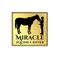 Miracle Equine Center