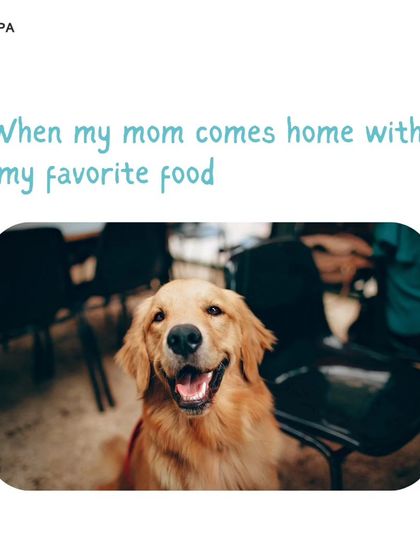 That happy face when mom comes home with their favorite food. We stock a wide range of delicious and nutritious options that will get your pet just as excited.