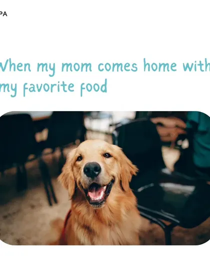 That happy face when mom comes home with their favorite food. We stock a wide range of delicious and nutritious options that will get your pet just as excited.