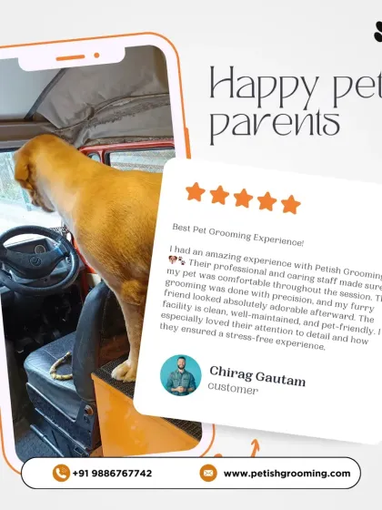 Nothing makes me happier than a satisfied pet parent! This review highlights the clean, well-maintained, and pet-friendly facility I've built to ensure a stress-free experience for everyone.