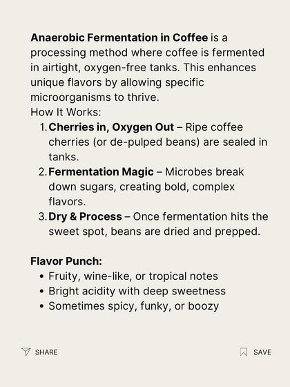 We break down how anaerobic fermentation works, from sealing the cherries in tanks to the unique fruity, wine-like, or even spicy notes it can produce.